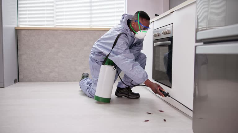 Best Real Estate Pest Inspections  in La Riviera, CA